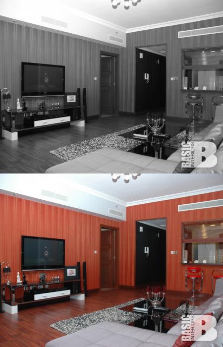 Our Showroom